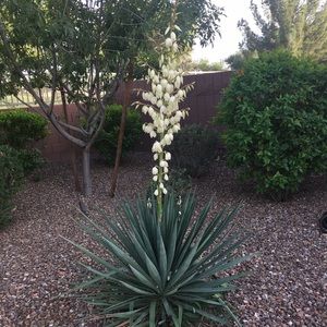 Meet your Posher, Kristi111